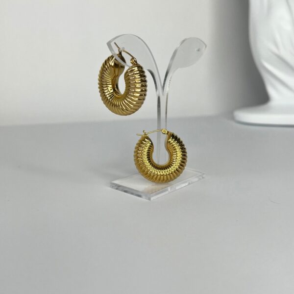 Twister earrings